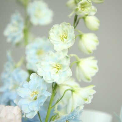 Bouquet of flowers called "Attractive fragrance"
