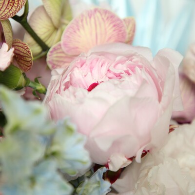 Bouquet of flowers called "Attractive fragrance"
