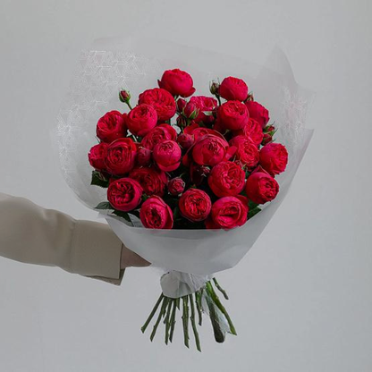 "Crimson Elegance"
