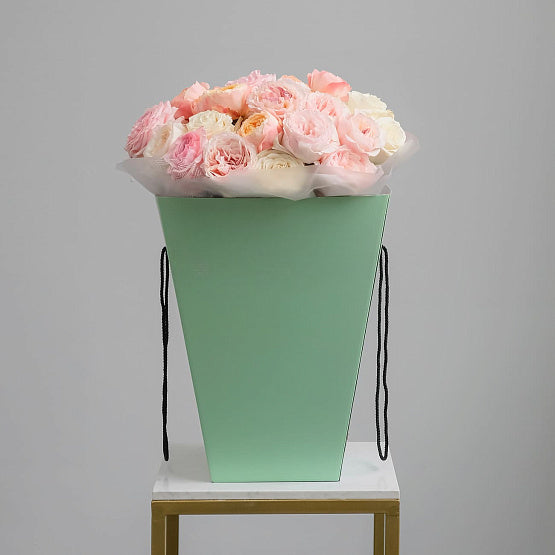 "Pastel Symphony"